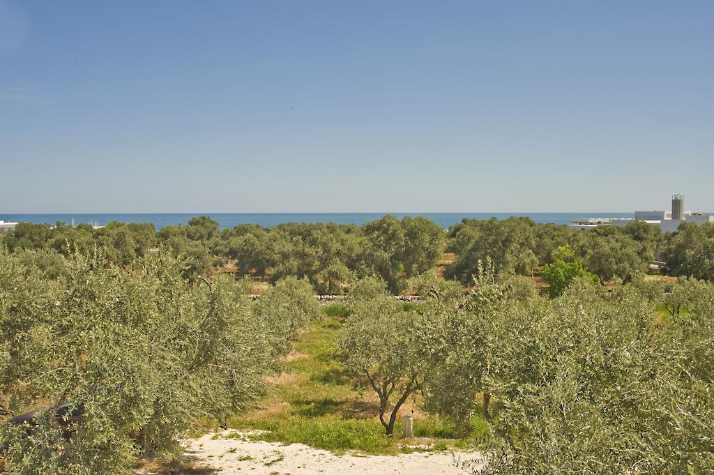 Masseria Spina Resort Monopoli Cameră foto